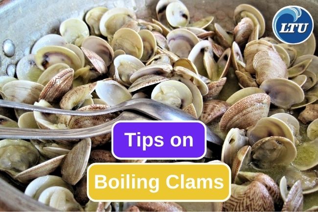 How To Boil Clams Properly